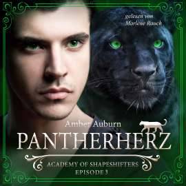 Hörbuch Pantherherz, Episode 3 - Fantasy-Serie  - Autor Amber Auburn   - gelesen von Marlene Rauch