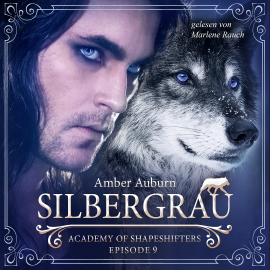 Hörbuch Silbergrau, Episode 9 - Fantasy-Serie  - Autor Amber Auburn   - gelesen von Marlene Rauch