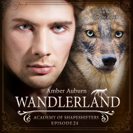 Hörbuch Wandlerland, Episode 24 - Fantasy-Serie  - Autor Amber Auburn   - gelesen von Marlene Rauch