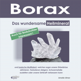 Hörbuch Borax  - Autor Amelie Ulmer   - gelesen von Béla Schugmann