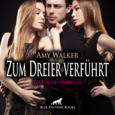 Zum Dreier verführt / Erotische Geschichte