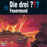 Hörbuch Folge 125: Feuermond  - Autor André Marx  
