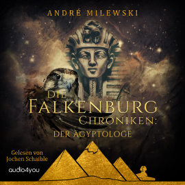 Hörbuch Die Falkenburg Chroniken  - Autor André Milewski   - gelesen von Jochen Schaible