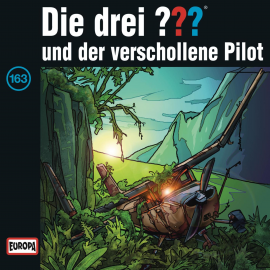 Hörbuch Folge 163: Die drei ??? und der verschollene Pilot  - Autor André Minninger   - gelesen von N.N.