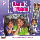 Folge 35: Hanni und Nanni allein in Lindenhof