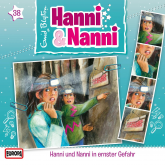Folge 38: Hanni und Nanni in ernster Gefahr