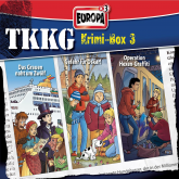 TKKG Krimi-Box 03 (Folgen 160/162/164)