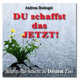 Hörbuch DU schaffst das JETZT!  - Autor Andreas Boskugel   - gelesen von Alexander Devriendt