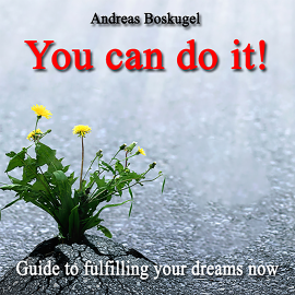 Hörbuch You can do it!  - Autor Andreas Boskugel   - gelesen von Alexander Devriendt
