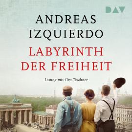Hörbuch Labyrinth der Freiheit - Wege der Zeit, Band 3 (Ungekürzt)  - Autor Andreas Izquierdo   - gelesen von Uve Teschner