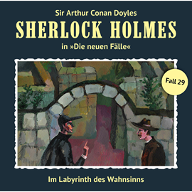 Hörbuch Im Labyrinth des Wahnsinns (Sherlock Holmes - Die neuen Fälle 29)  - Autor Andreas Masuth   - gelesen von Schauspielergruppe