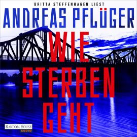 Hörbuch Wie Sterben geht  - Autor Andreas Pflüger   - gelesen von Britta Steffenhagen