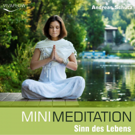 Hörbuch Mini Meditation - Sinn des Lebens  - Autor Andreas Schütz   - gelesen von Marcel Schieback