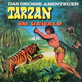 Hörbuch Tarzan - Das große Abenteuer, Folge 1: Tarzan im Urwald  - Autor Anke Beckert   - gelesen von Schauspielergruppe