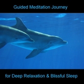 Guided Meditation Journey - Dolphins - Beach - Sea