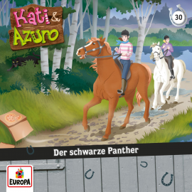 Hörbuch Folge 30: Der schwarze Panther  - Autor Anna Benzing  
