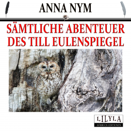 Hörbuch Sämtliche Abenteuer des Till Eulenspiegel  - Autor Anna Nym   - gelesen von Schauspielergruppe