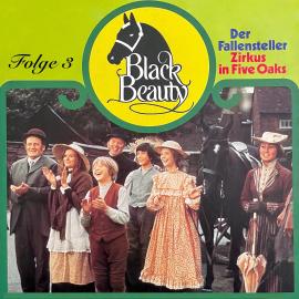 Hörbuch Black Beauty, Folge 3: Der Fallensteller / Zirkus in Five Oaks  - Autor Anna Sewell, Margarita Meister   - gelesen von Schauspielergruppe
