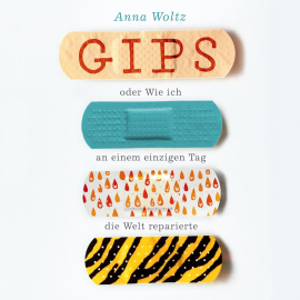 Hörbuch Gips oder Wie ich an einem einzigen Tag die Welt reparierte  - Autor Anna Woltz   - gelesen von Tabea Hilbert