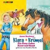 Ein Pony außer Rand und Band - Klara + Krümel 5