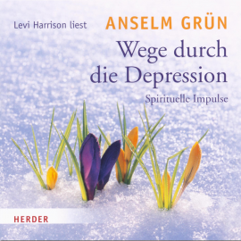 Hörbuch Wege durch die Depression  - Autor Anselm Grün   - gelesen von Levi Harrison