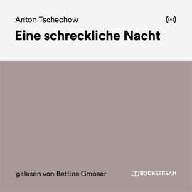 Hörbuch Eine schreckliche Nacht  - Autor Anton Tschechow   - gelesen von Bettina Gmoser