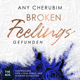 Hörbuch Broken Feelings. Gefunden  - Autor Any Cherubim   - gelesen von Schauspielergruppe