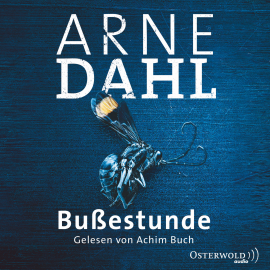 Hörbuch Bußestunde  - Autor Arne Dahl   - gelesen von Achim Buch