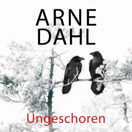 Hörbuch Ungeschoren (A-Team 6)  - Autor Arne Dahl   - gelesen von Jürgen Holdorf