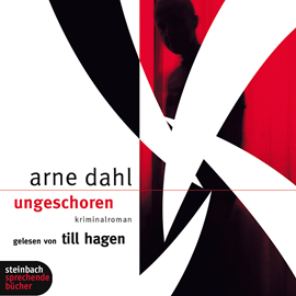 Hörbuch Ungeschoren  - Autor Arne Dahl   - gelesen von Till Hagen