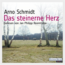 Hörbuch Das steinerne Herz  - Autor Arno Schmidt   - gelesen von Jan Philipp Reemtsma