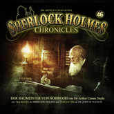 Der Baumeister von Norwood (Sherlock Holmes Chronicles 46)