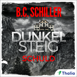 Hörbuch Dunkelsteig: Schuld  - Autor B. C. Schiller   - gelesen von Felicity Grist