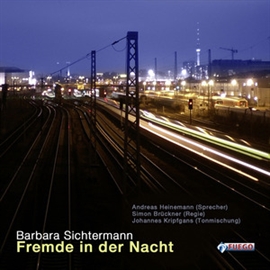 Hörbuch Fremde in der Nacht  - Autor Barbara Sichtermann   - gelesen von Andreas Heinemann