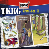 TKKG Krimi-Box 17 (Folgen 170/176/177)