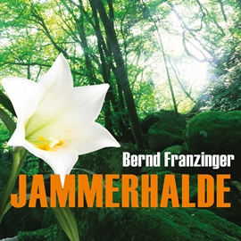 Hörbuch Jammerhalde  - Autor Bernd Franzinger   - gelesen von Ari Gosch