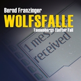Hörbuch Wolfsfalle  - Autor Bernd Franzinger   - gelesen von Ari Gosch