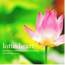 Hörbuch Lotus Heart  - Autor Brahma Kumaris   - gelesen von Brahma Kumaris