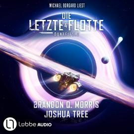 Hörbuch Dunkelfeld - Die Letzte Flotte, Teil 4 (Ungekürzt)  - Autor Brandon Q. Morris, Joshua Tree   - gelesen von Michael Borgard