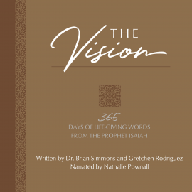 Hörbuch The Vision  - Autor Brian Simmons   - gelesen von Nathalie Pownall