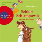 Hörbuch Schluri Schlampowski und der Störenfried  - Autor Brigitte Endres   - gelesen von Andreas Fröhlich