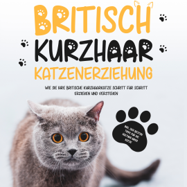 Hörbuch Britisch Kurzhaar Katzenerziehung: Wie Sie Ihre britische Kurzhaarkatze Schritt für Schritt erziehen und verstehen – inkl. der b  - Autor Britta Fährmann   - gelesen von Celina Bender