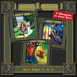 Hörbuch Grimms Märchen, Box 5: Folgen 13, 14, 15  - Autor Brüder Grimm   - gelesen von Schauspielergruppe