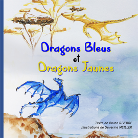 Hörbuch Dragons Bleus et Dragons Jaunes  - Autor Bruno Rivoire   - gelesen von Schauspielergruppe