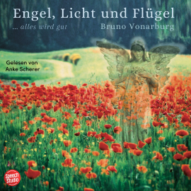 Hörbuch Engel, Licht und Flügel  - Autor Bruno Vonarburg   - gelesen von Anke Scherer