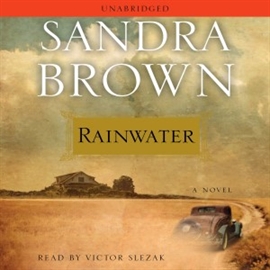 Hörbuch Rainwater  - Autor Sandra Brown   - gelesen von Victor Slezak