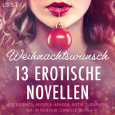 Weihnachtswunsch - 13 erotische Novellen
