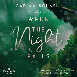 Hörbuch When the Night Falls (Sommer in Kanada 2)  - Autor Carina Schnell   - gelesen von Schauspielergruppe