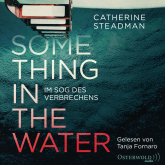 Something in the Water – Im Sog des Verbrechens