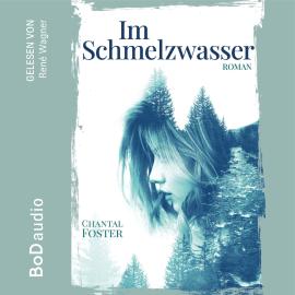 Hörbuch Im Schmelzwasser (Ungekürzt)  - Autor Chantal Foster   - gelesen von René Wagner